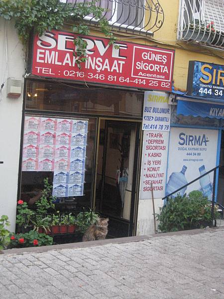 Tıklayın