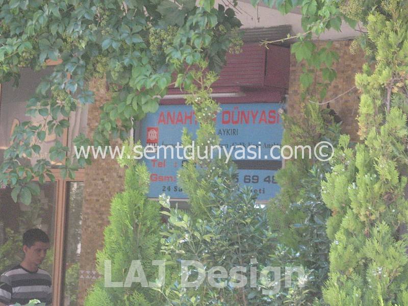 Tıklayın