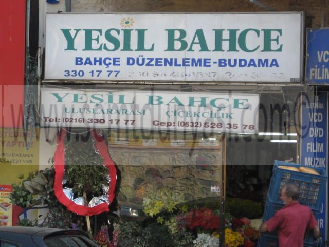 Tıklayın