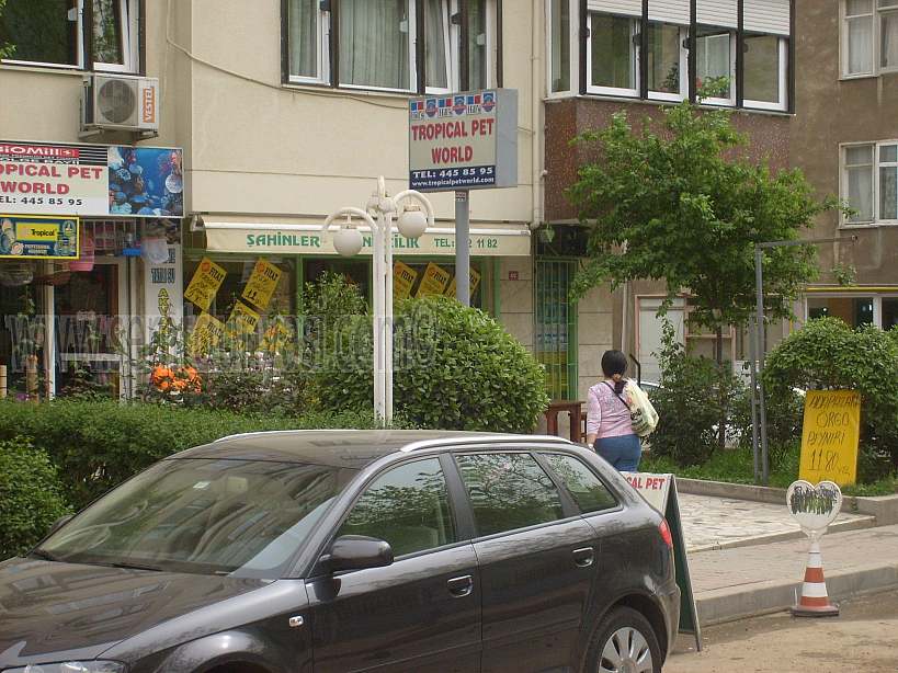 Tıklayın