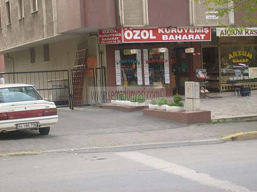 Tıklayın