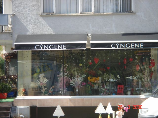 Tıklayın