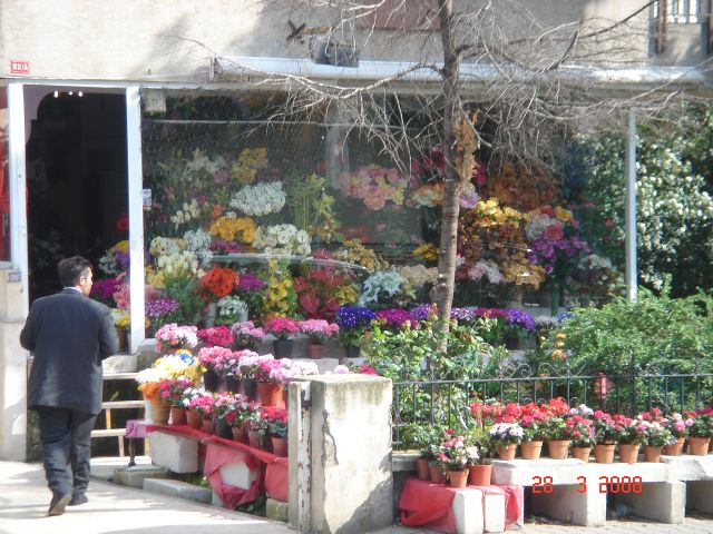 Tıklayın