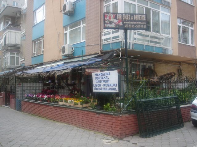 Tıklayın