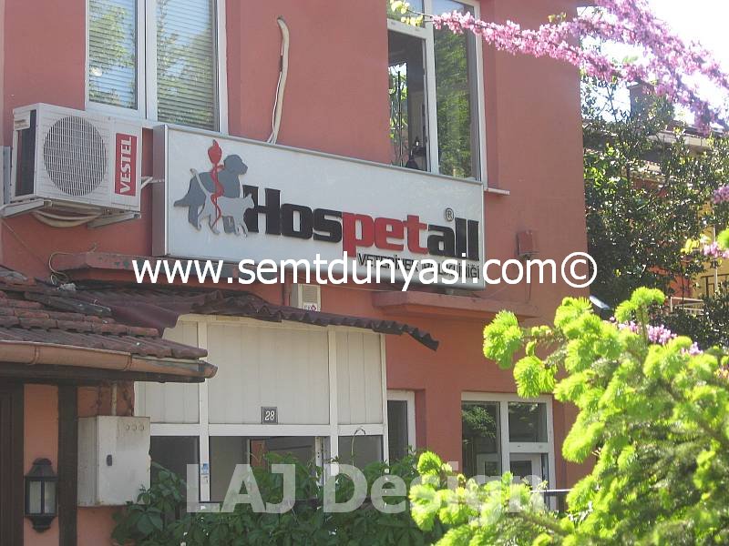 Kosuyolu Hospetall Veteriner Klinigi Kosuyolu Veterinerler Kadikoy Semt Dunyasi