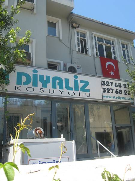 Tıklayın
