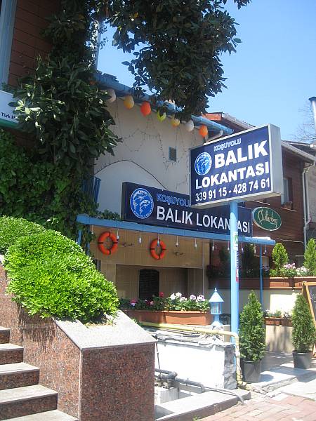 koşuyolu balık