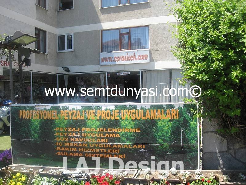 Tıklayın