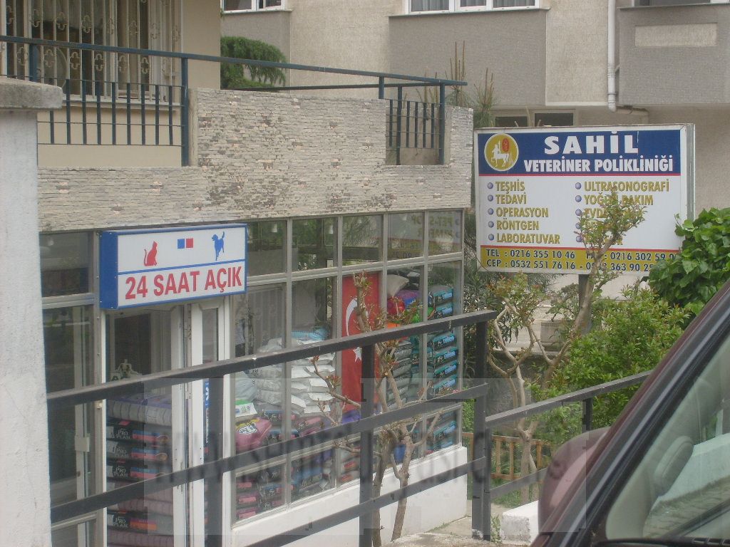 Tıklayın