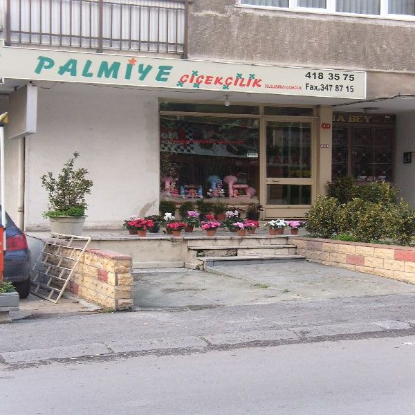 Tıklayın