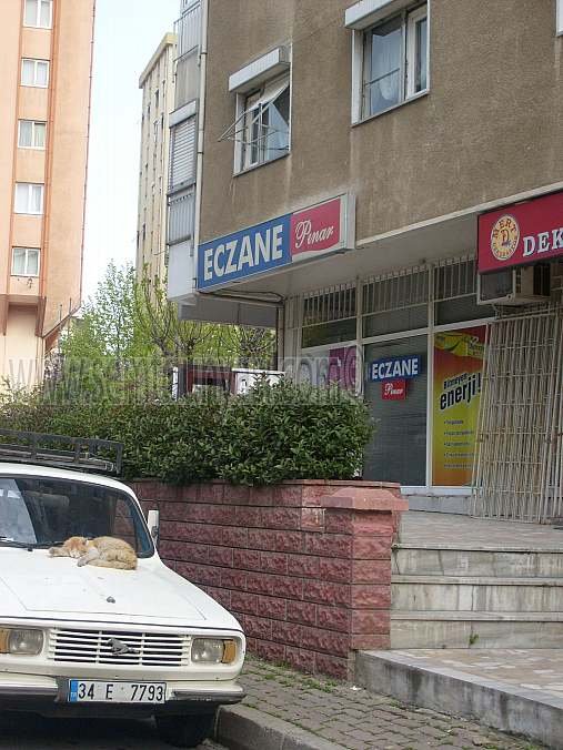 Tıklayın