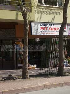 Tıklayın